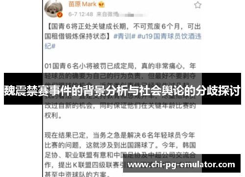 魏震禁赛事件的背景分析与社会舆论的分歧探讨