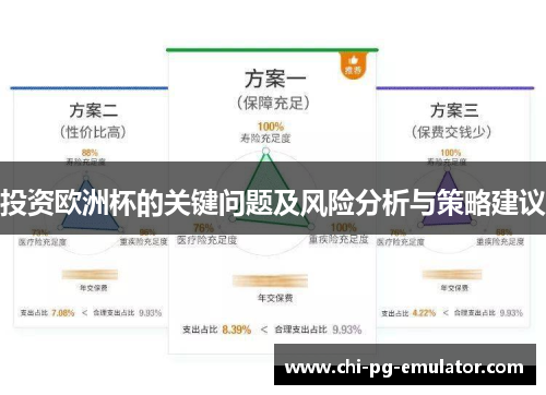 投资欧洲杯的关键问题及风险分析与策略建议