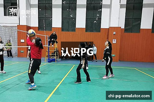 认识PG
